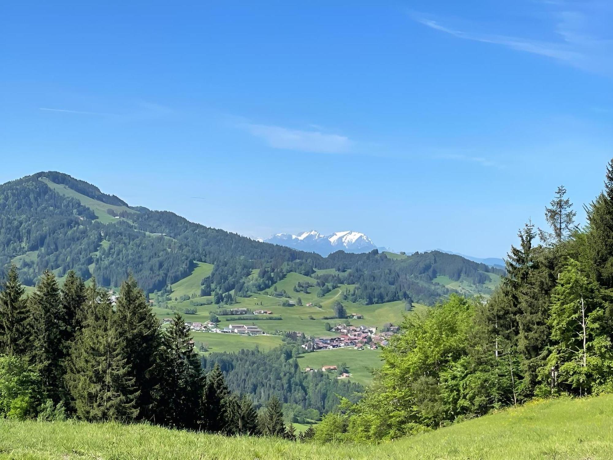 Kuh'Les Hideaway Steibis 3-Zimmer Ferienwohnung 55 M² Oberstaufen Exterior foto